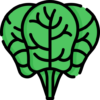 spinach_6108871